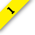 Fascículo 1
