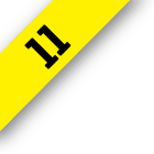 Fascículo 11