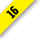 Fascículo 16