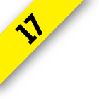 Fascículo 17