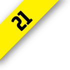 Fascículo 21