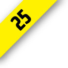 Fascículo 25