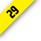 Fascículo 29