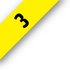 Fascículo 3